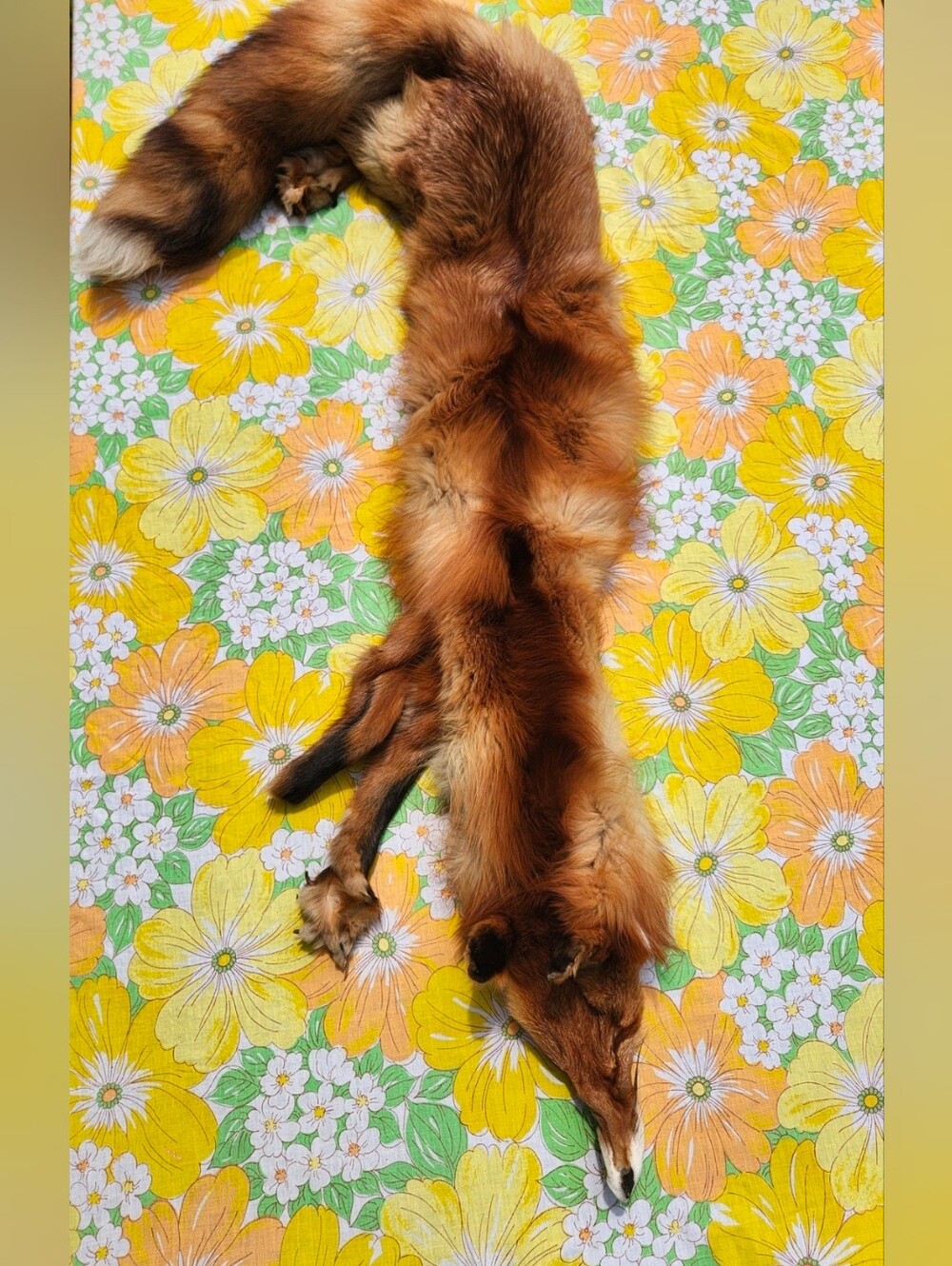 Vintage Fox Fur Stole